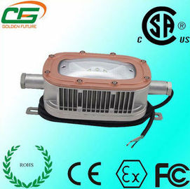 30W Gas Station LED Explosion Proof Light 200v CSA ATEX , Induction Tunnel Light